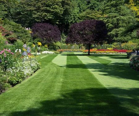 Twins & Family Landscaping