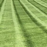 Lemuel Zenon Landscaping ico