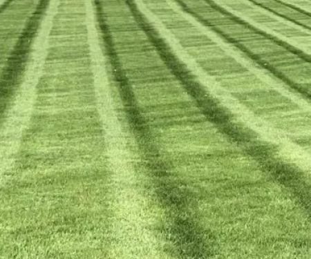 Lemuel Zenon Landscaping