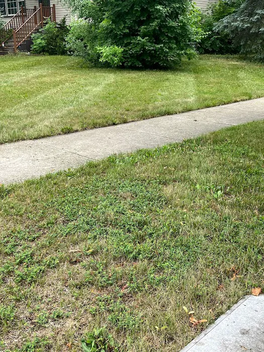 F&D lawncare Picture 8