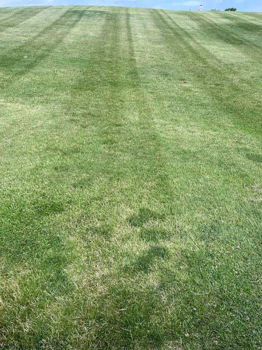 F&D lawncare Picture 7