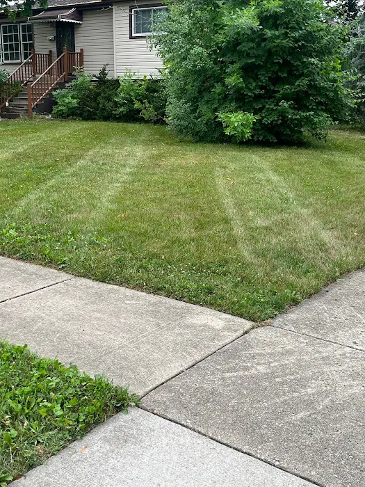 F&D lawncare Picture 6