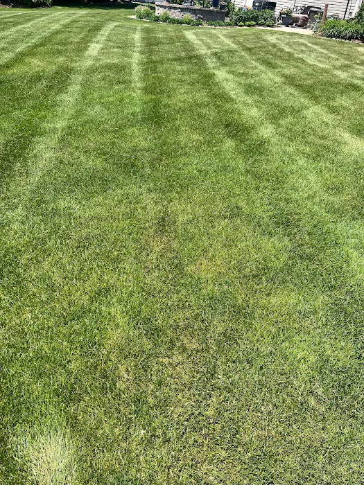 F&D lawncare Picture 5