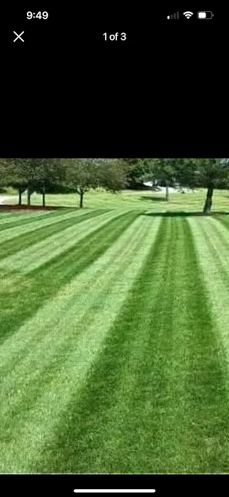 F&D lawncare Picture 2
