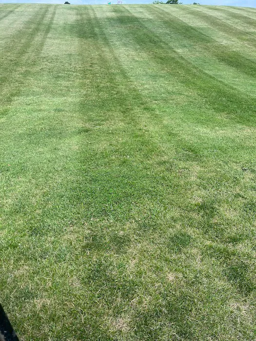F&D lawncare Picture 1