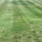 F&D lawncare