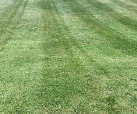F&D lawncare