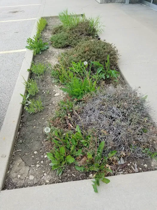 Alan's Landscaping INC. Picture 8