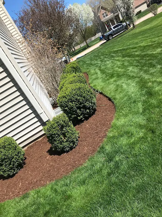 DMR Landscaping Picture 5