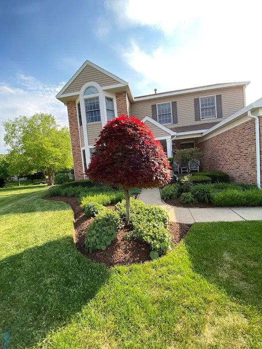 DMR Landscaping Picture 2