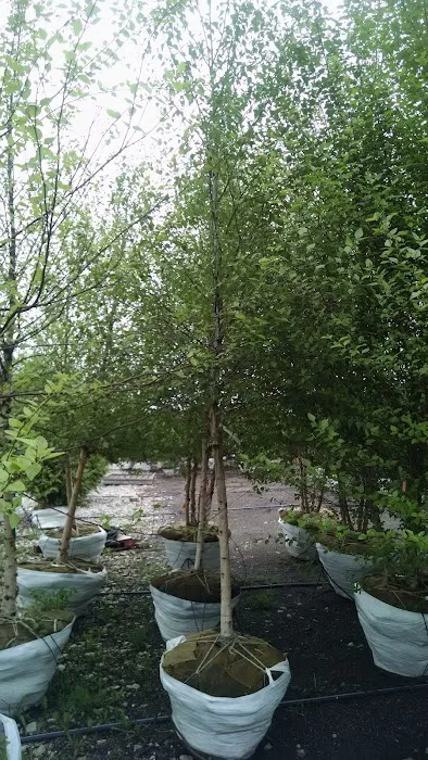 Lurvey Landscape Supply Picture 4