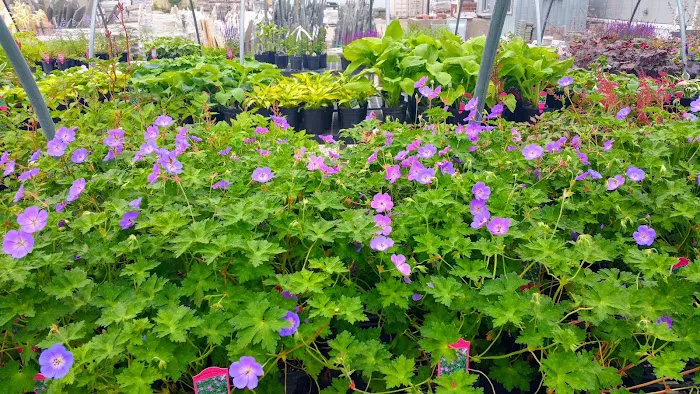 Lurvey Landscape Supply Picture 3