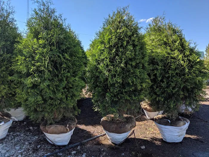 Lurvey Landscape Supply Picture 6