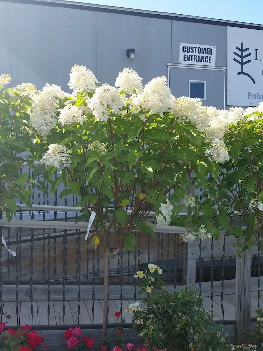 Lurvey Landscape Supply Picture 2