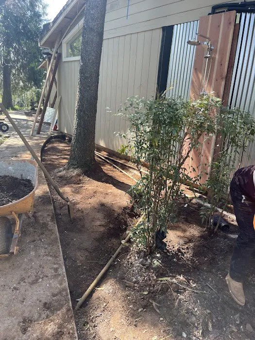 Manuel Sanchez Landscaping Picture 2