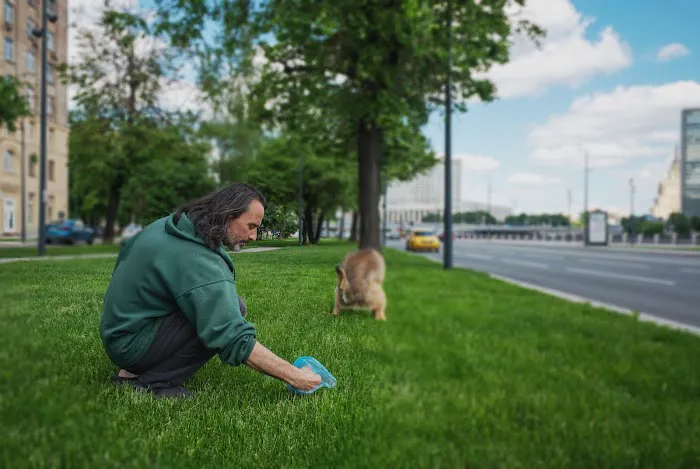 Plowz & Mowz - Snow Plowing and Lawn Care Service Picture 5