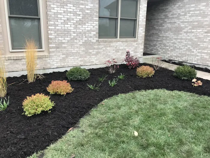 Root Designs: Landscape Design Picture 1