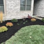 Root Designs: Landscape Design