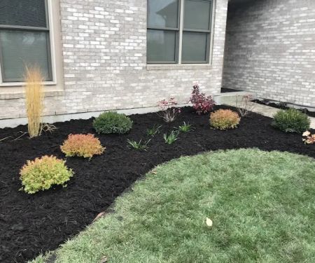 Root Designs: Landscape Design