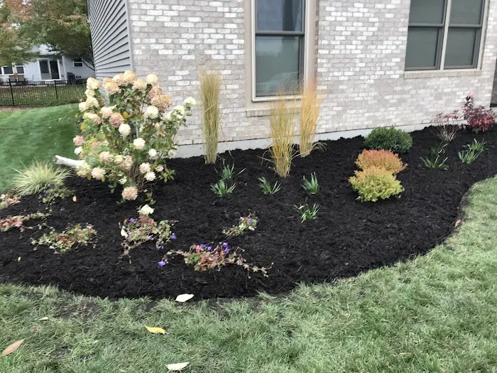 Root Designs: Landscape Design Picture 6