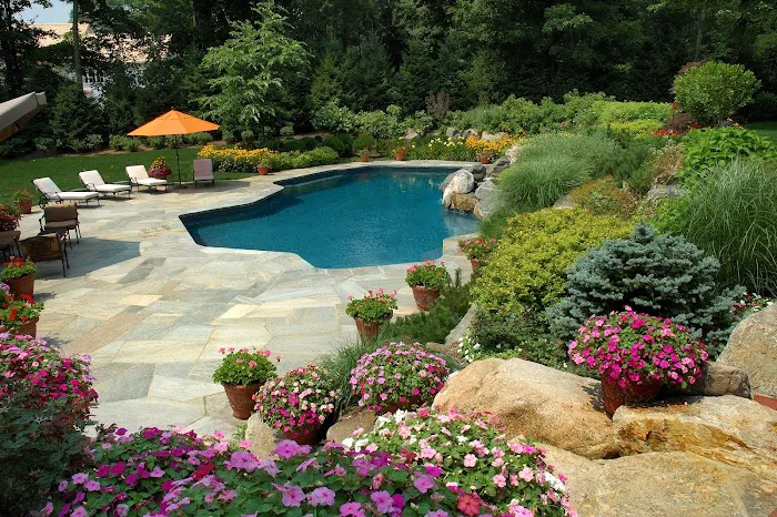 Root Designs: Landscape Design Picture 4