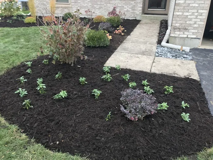 Root Designs: Landscape Design Picture 9