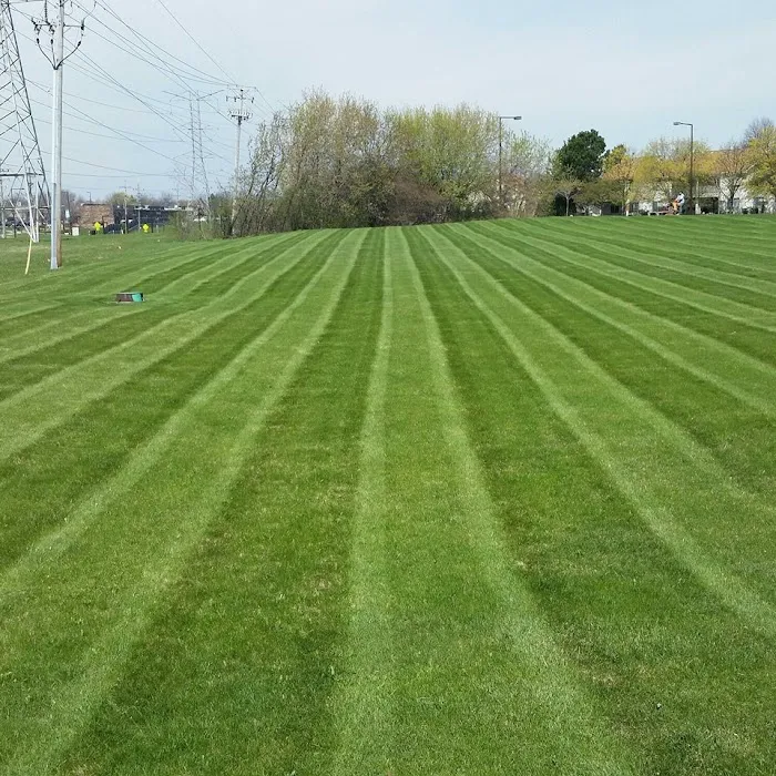 Mistretta Landscaping Picture 2