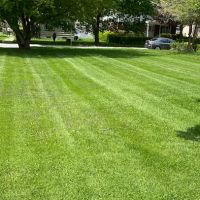 Precision Lawn Maintenance LLC ico