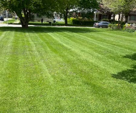 Precision Lawn Maintenance LLC