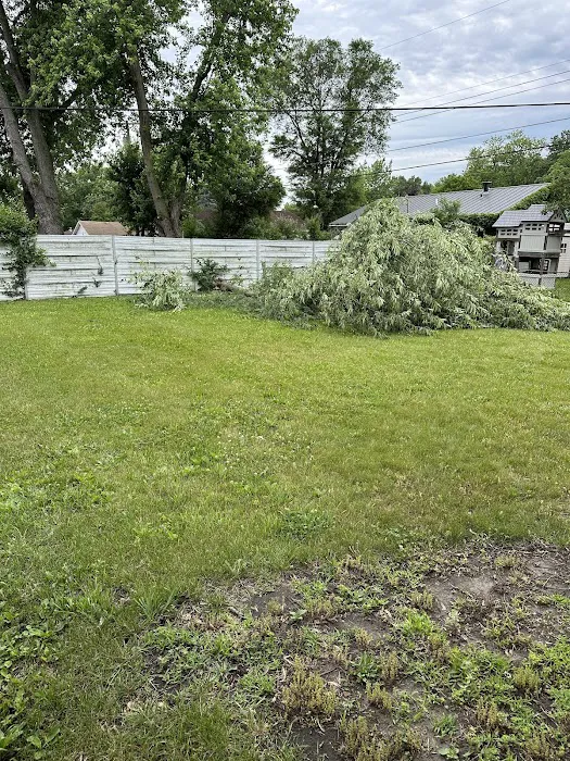 El Errante Tree & Landscaping Service Picture 9