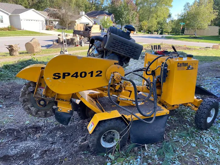 El Errante Tree & Landscaping Service Picture 2