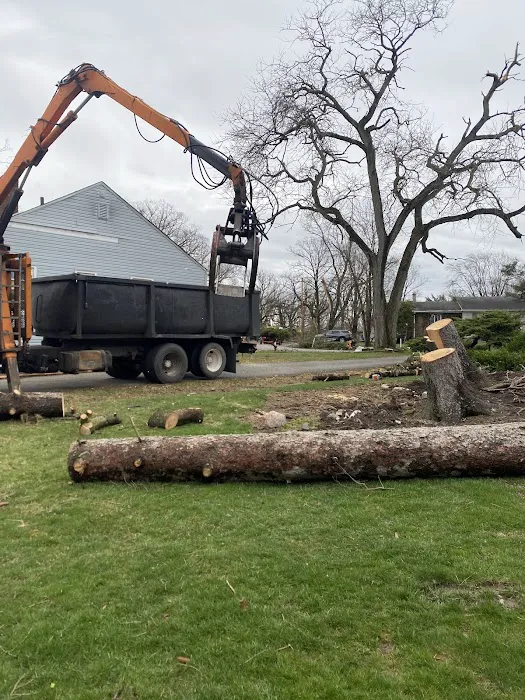 El Errante Tree & Landscaping Service Picture 3