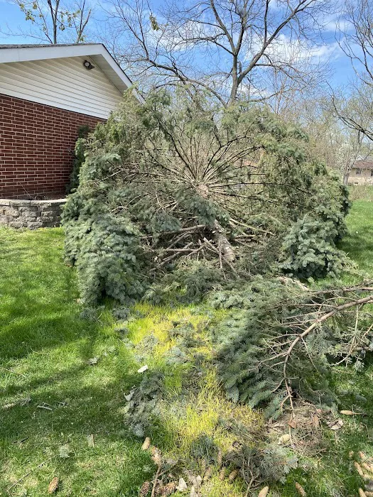 El Errante Tree & Landscaping Service Picture 10