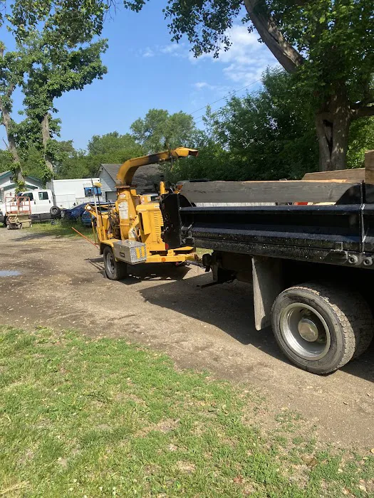 El Errante Tree & Landscaping Service Picture 7