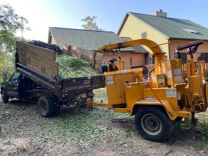 El Errante Tree & Landscaping Service Picture 4