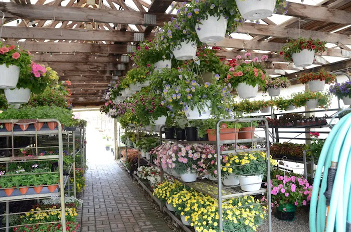 This and That Giftery @ Forever Green Landscape Center Picture 5