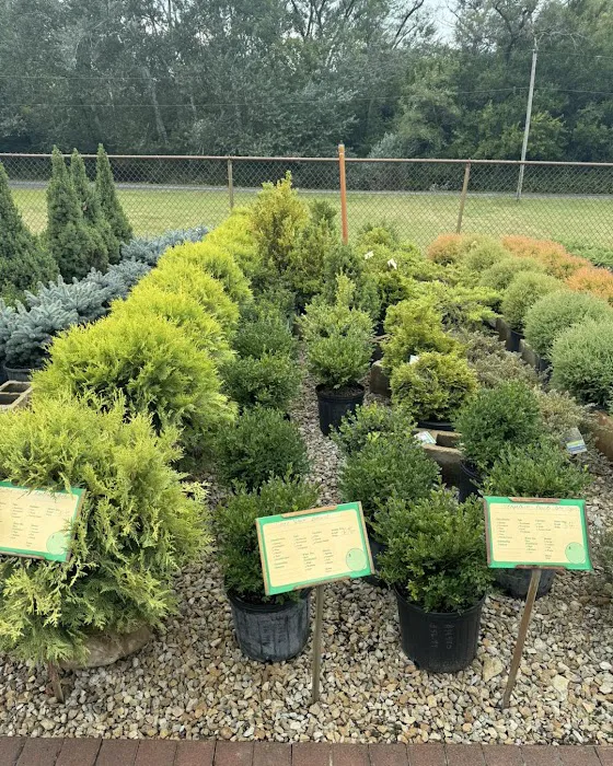 This and That Giftery @ Forever Green Landscape Center Picture 6