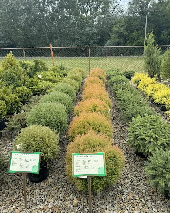 This and That Giftery @ Forever Green Landscape Center Picture 4