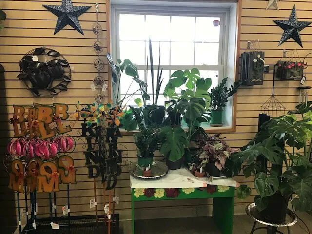 This and That Giftery @ Forever Green Landscape Center Picture 8