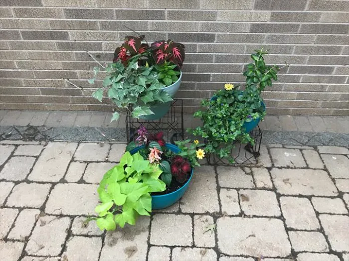 Blade Cutters Landscaping Picture 8