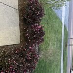 Fox River Landscaping and Snow Removal