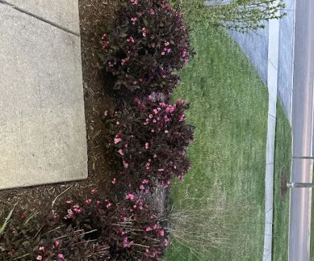 Fox River Landscaping and Snow Removal