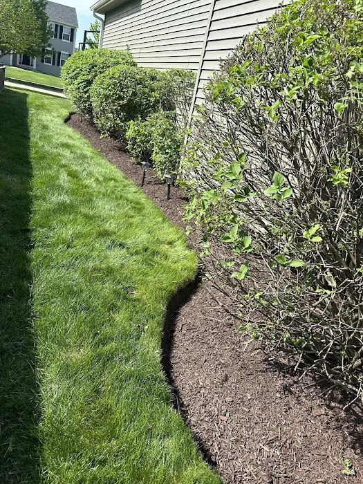 M & M Outdoor Design and Hardscaping Picture 7
