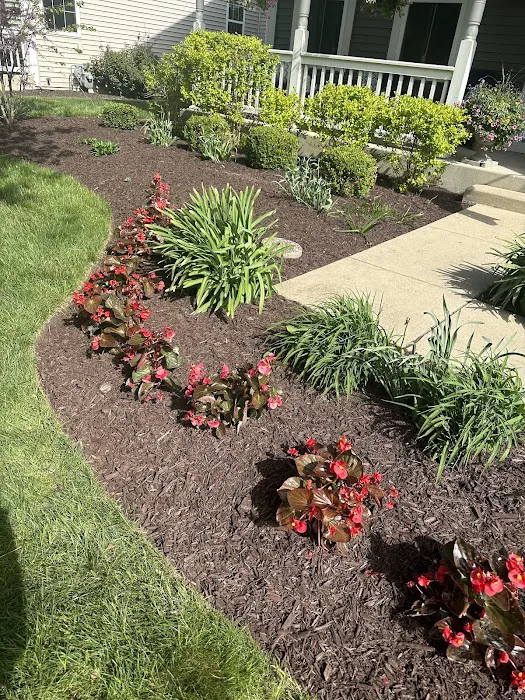 M & M Outdoor Design and Hardscaping Picture 10
