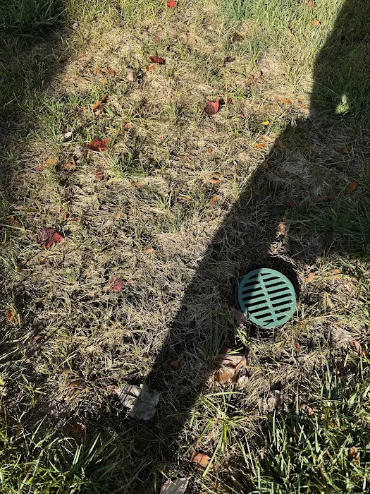 TruGreen Lawn Care Picture 4
