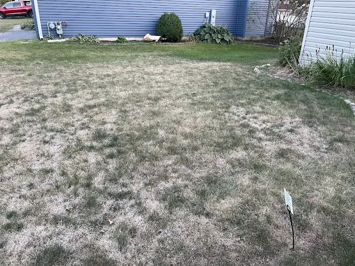 TruGreen Lawn Care Picture 6