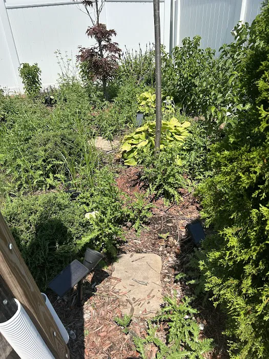 Juan M Diaz Landscape LLC Picture 4