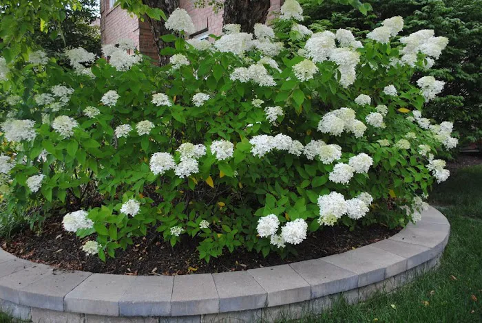 R&S Landscaping & Nursery Picture 2