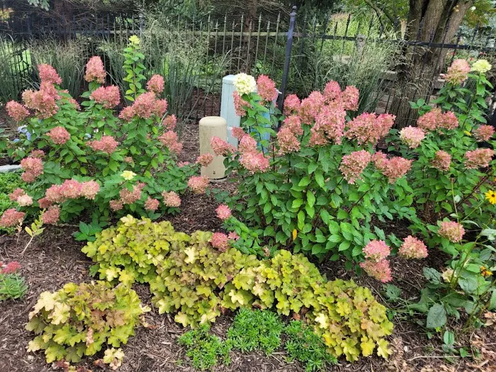 Ever Green Tree Services & Landscaping Picture 1