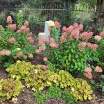 Ever Green Tree Services & Landscaping